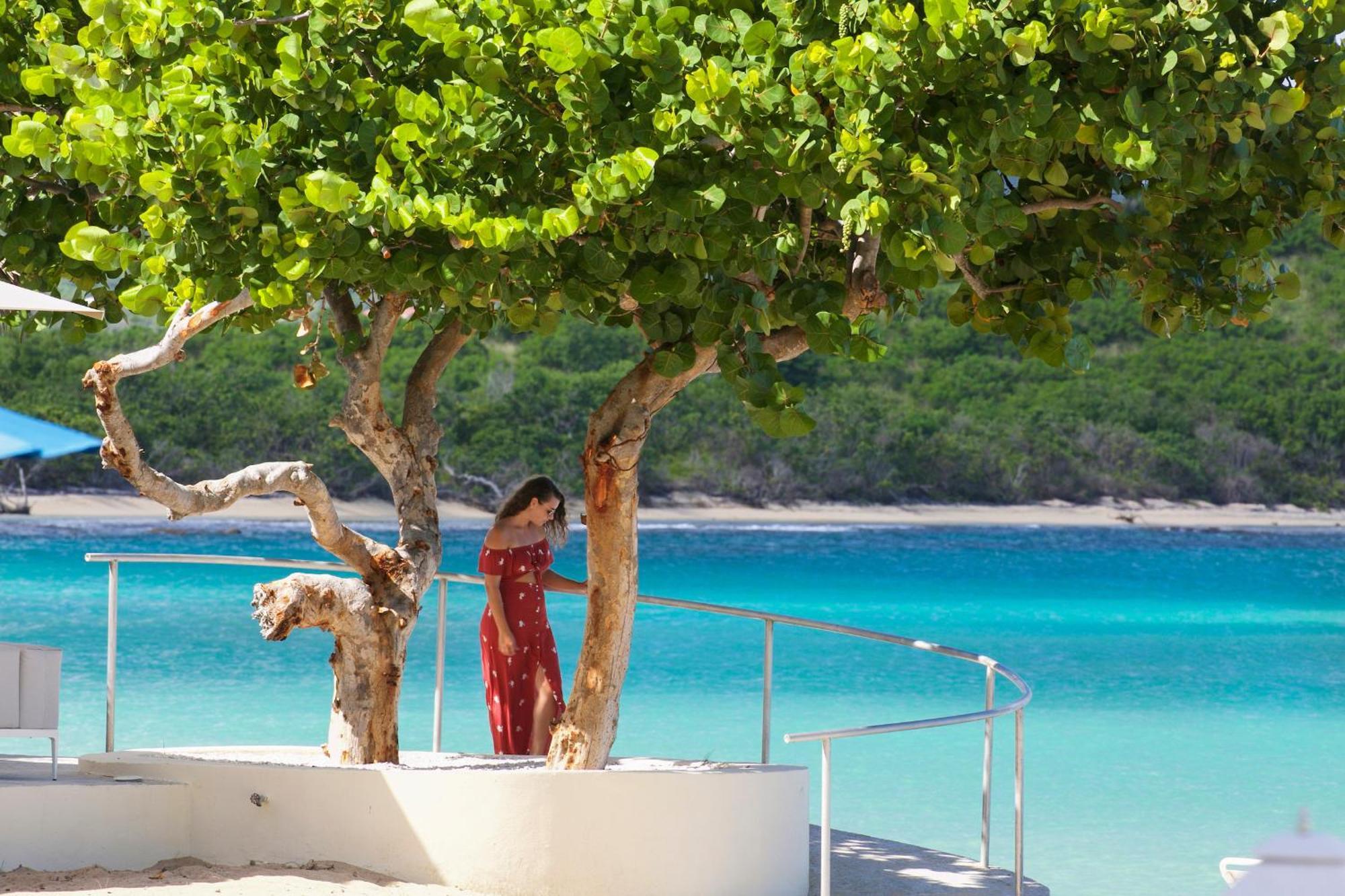 The Buccaneer & Golf 4* Christiansted