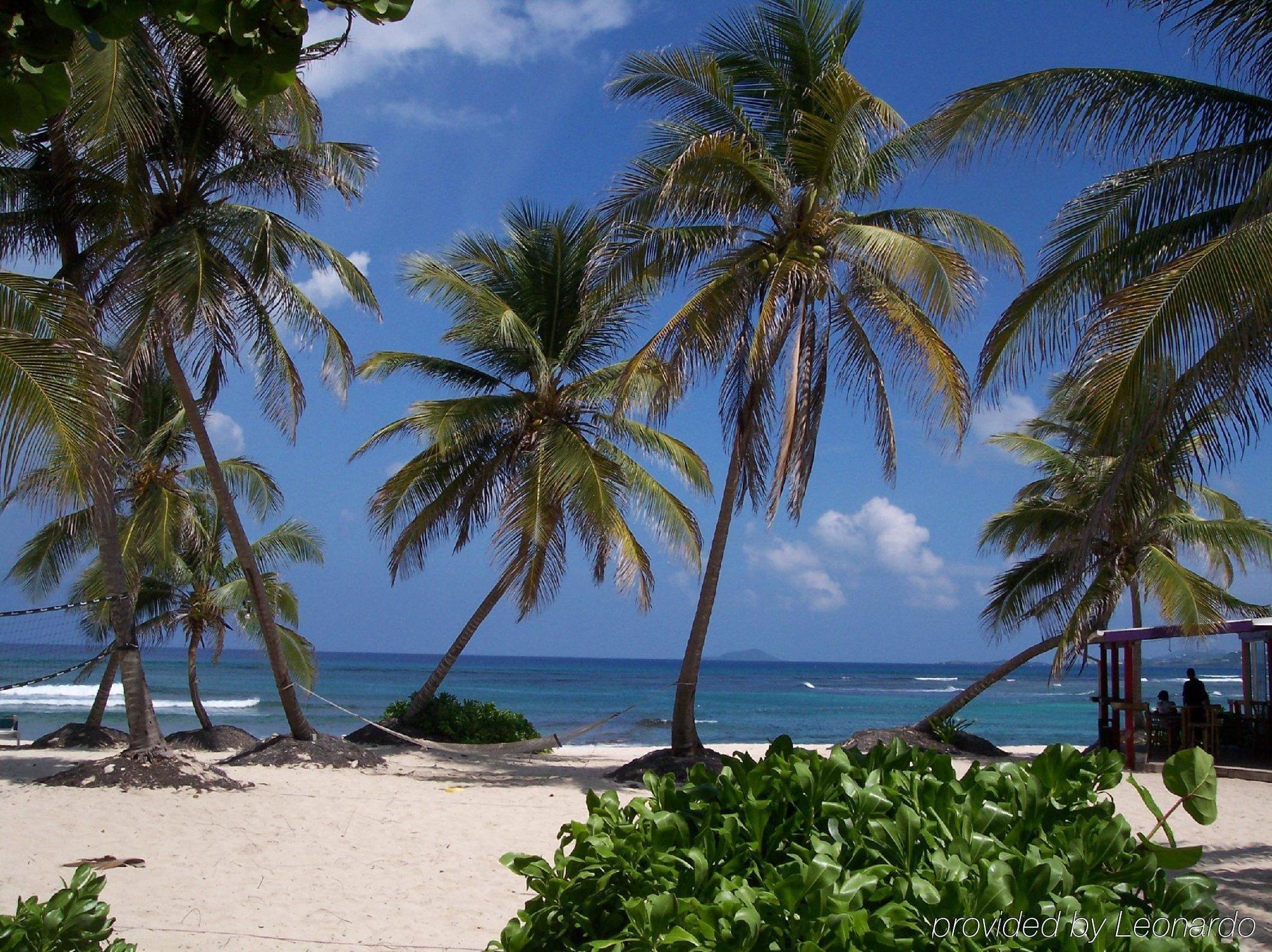 Hotel Hibiscus Christiansted