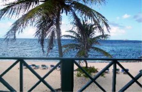 Hibiscus Christiansted
