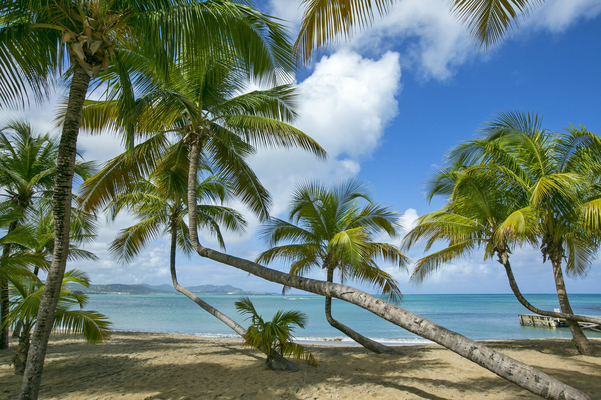 The Buccaneer & Golf Trademark 4* Christiansted