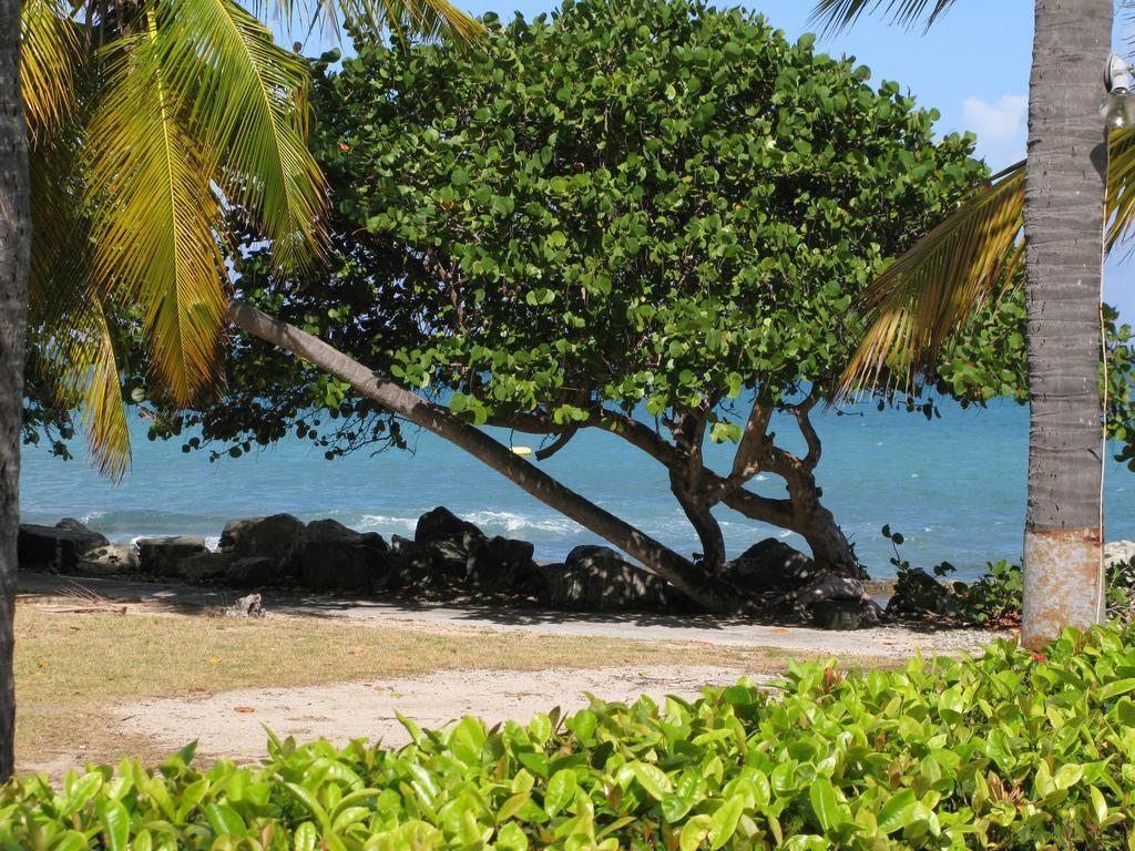 Resort Tamarind Reef & Marina