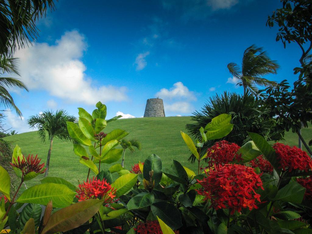 Tamarind Reef & Marina Christiansted