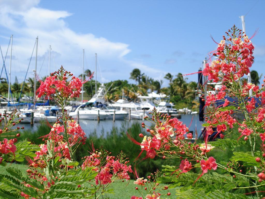Resort Tamarind Reef & Marina
