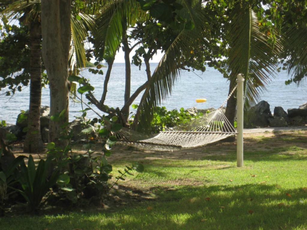 Tamarind Reef & Marina 3* Christiansted