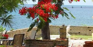 On The Cay Hotel Christiansted