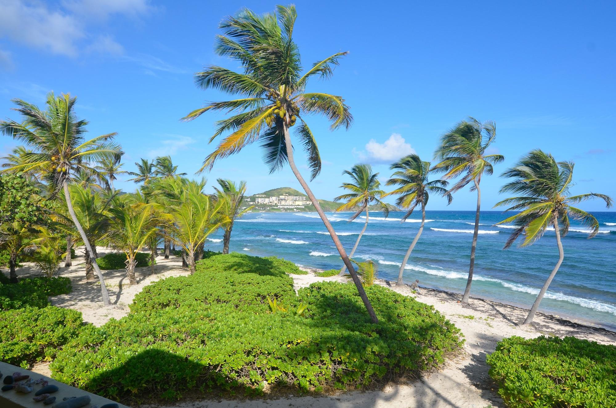 Hotel The Palms At Pelican Cove (adults Only)