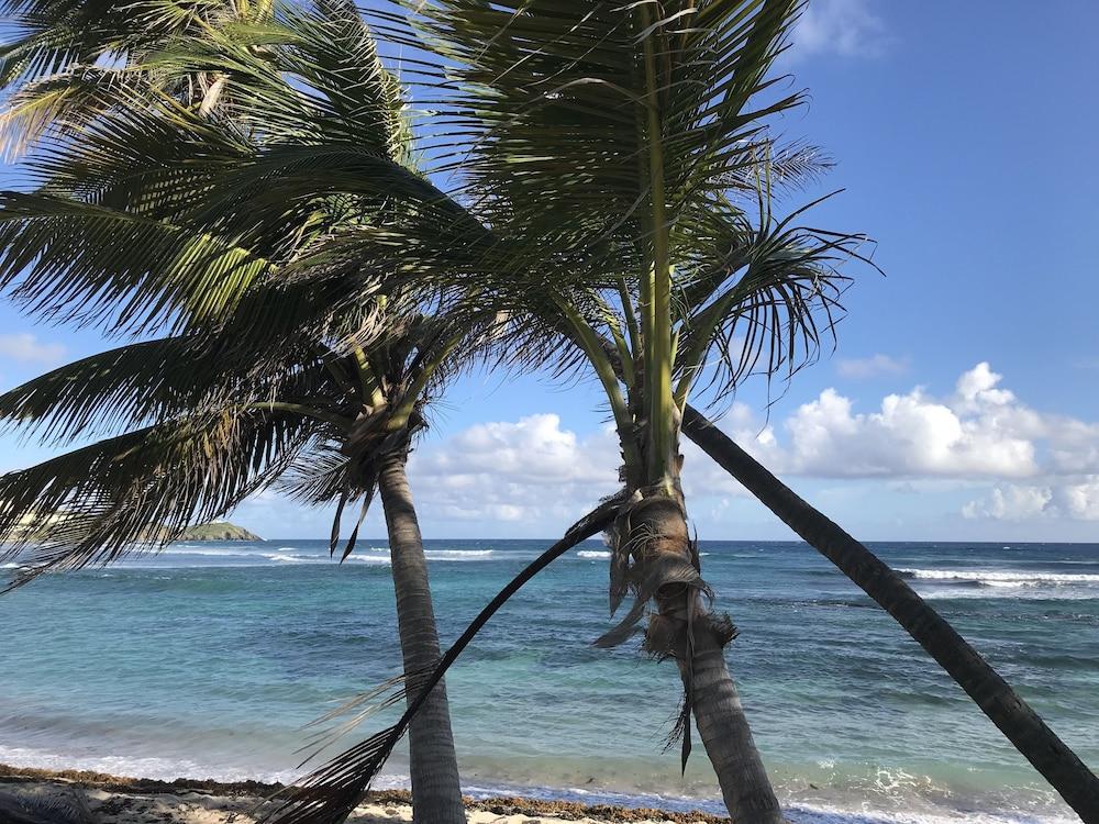 The Palms At Pelican Cove (adults Only) Hotel