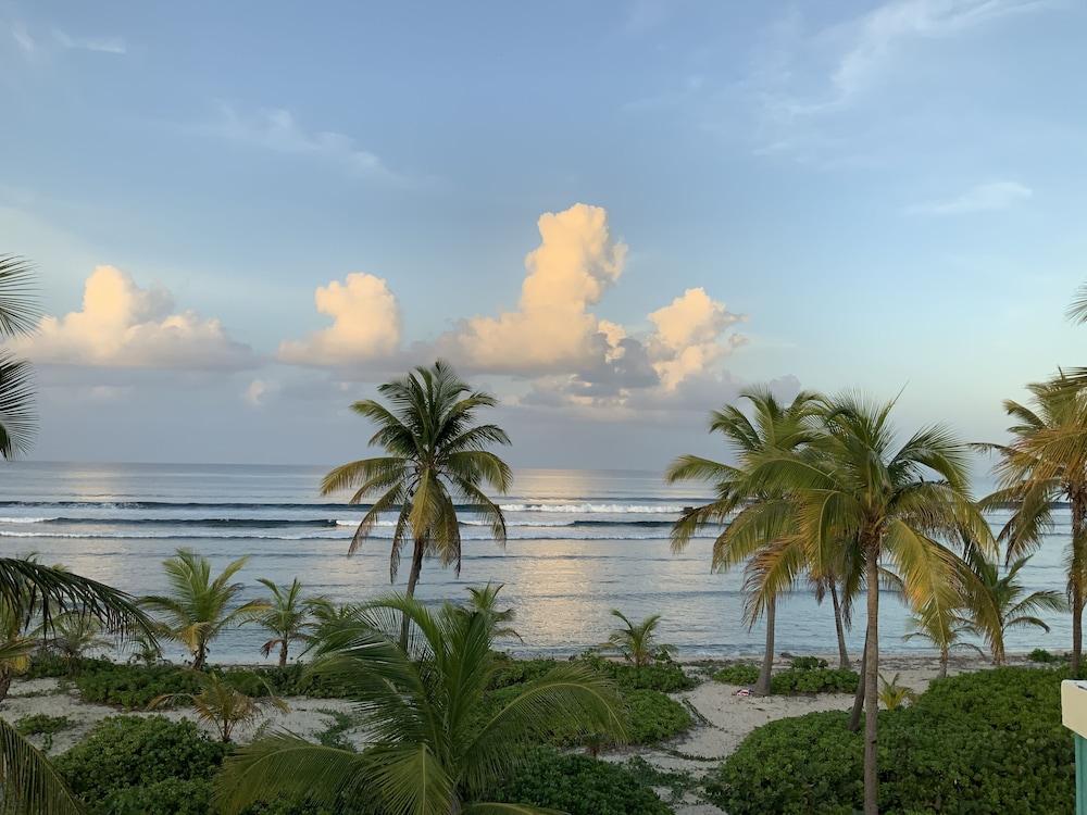 Hotel The Palms At Pelican Cove (adults Only) La Grande Princesse
