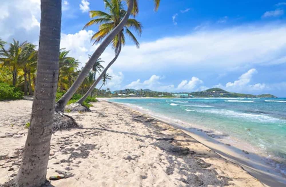 Hotel The Palms At Pelican Cove (adults Only) 3*
