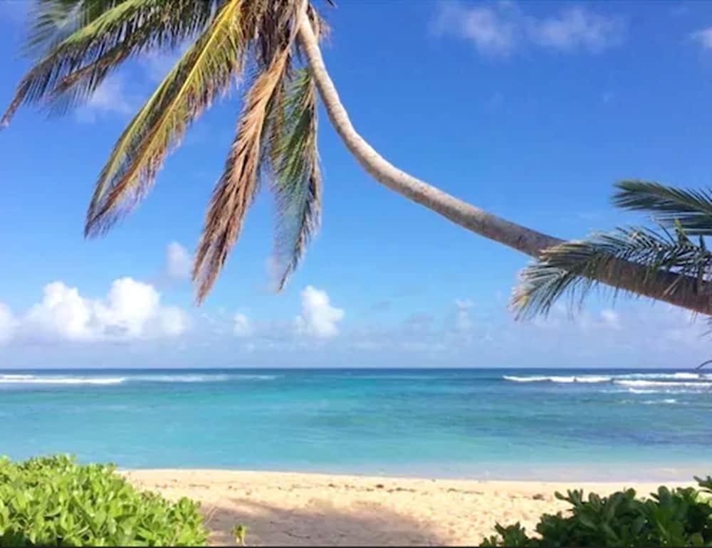 Hotel The Palms At Pelican Cove (adults Only) La Grande Princesse