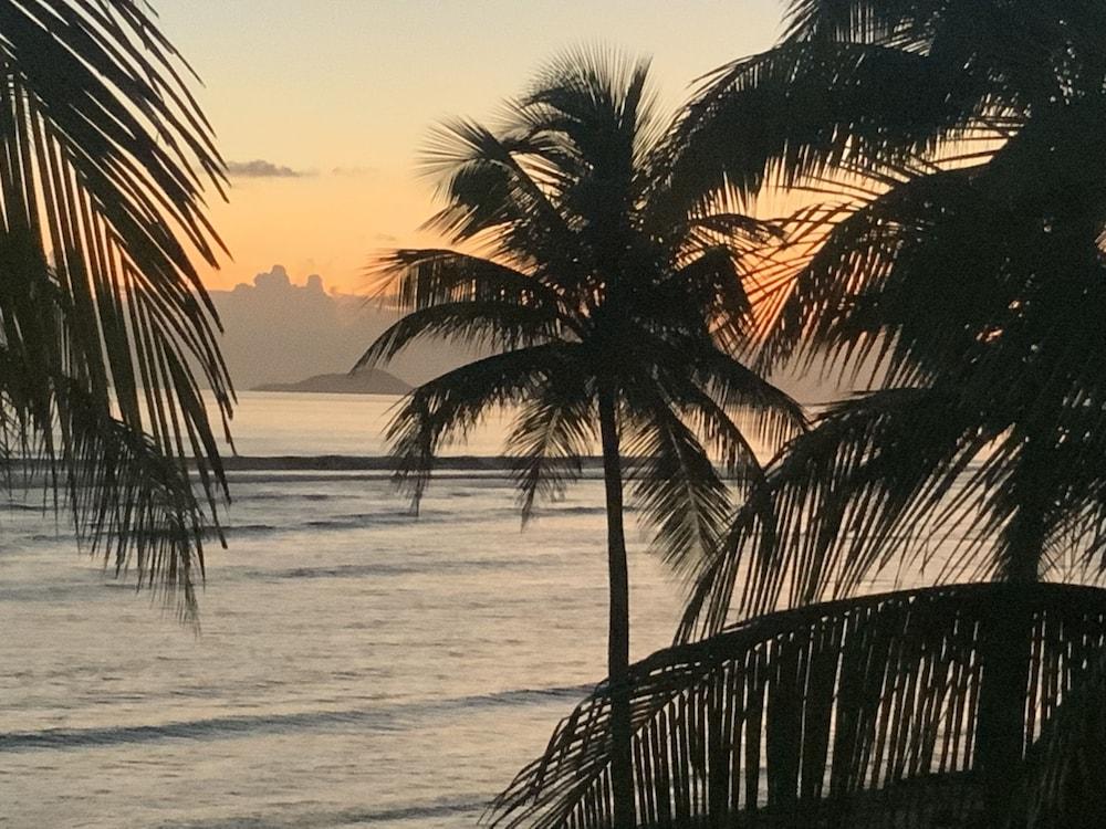 The Palms At Pelican Cove (adults Only) La Grande Princesse