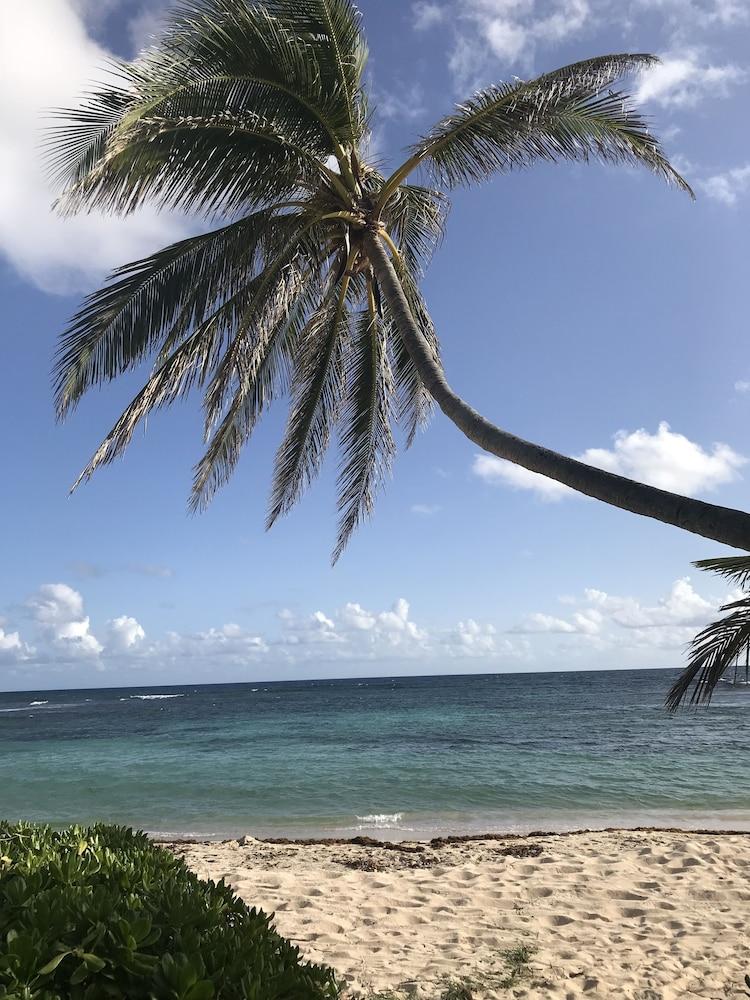 The Palms At Pelican Cove (adults Only) 3*