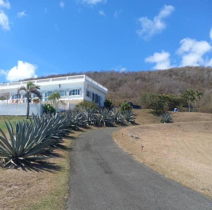 Breathtaking Ocean Views In Judiths Fancy *