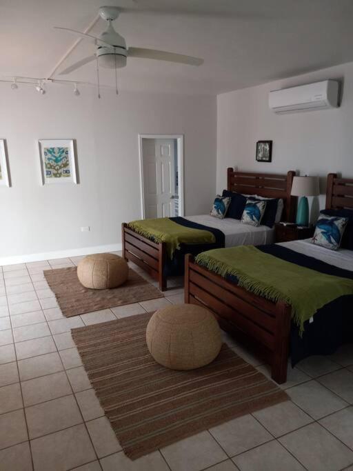 Breathtaking Ocean Views In Judiths Fancy Holiday home *