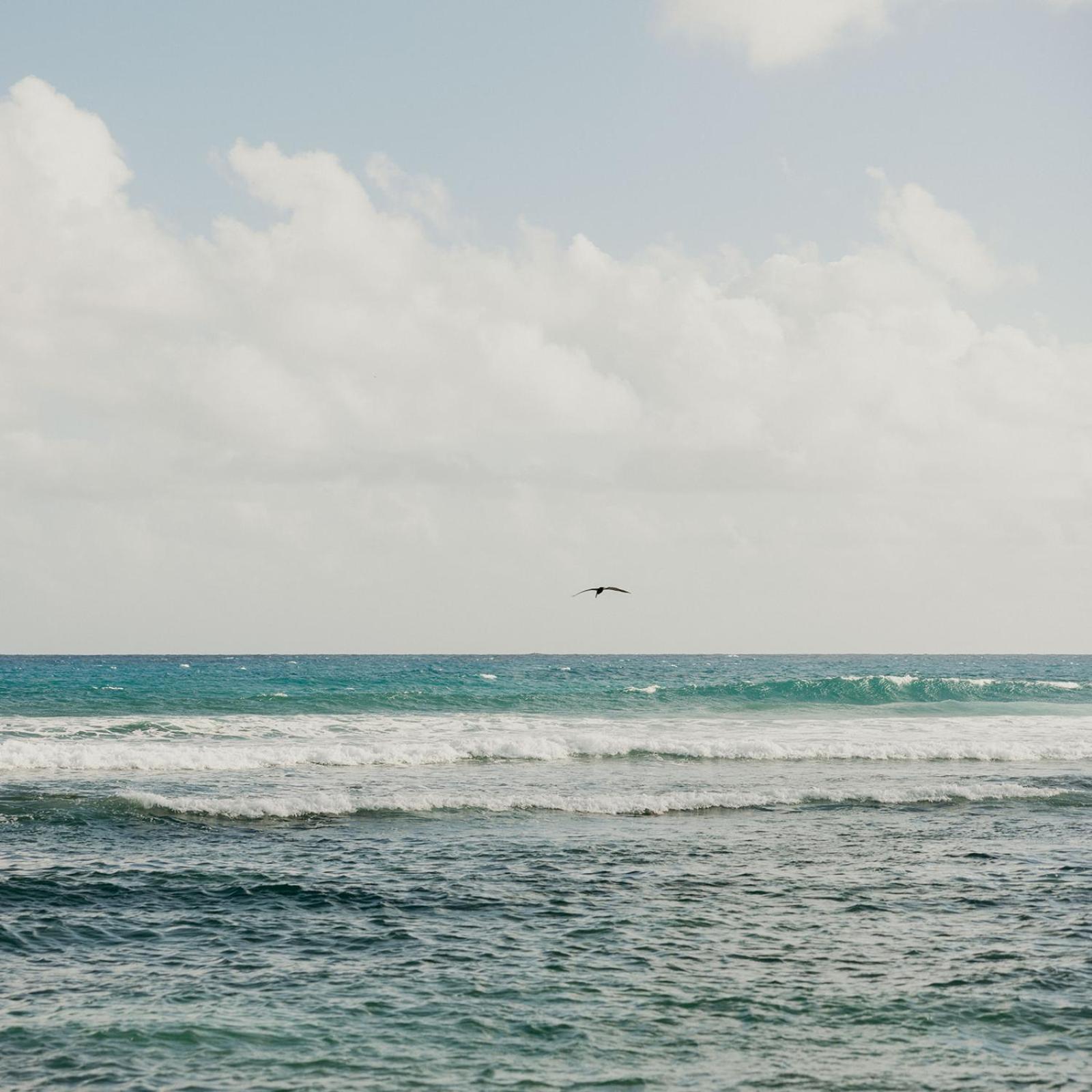 Grapetree Bay And Hotel Christiansted