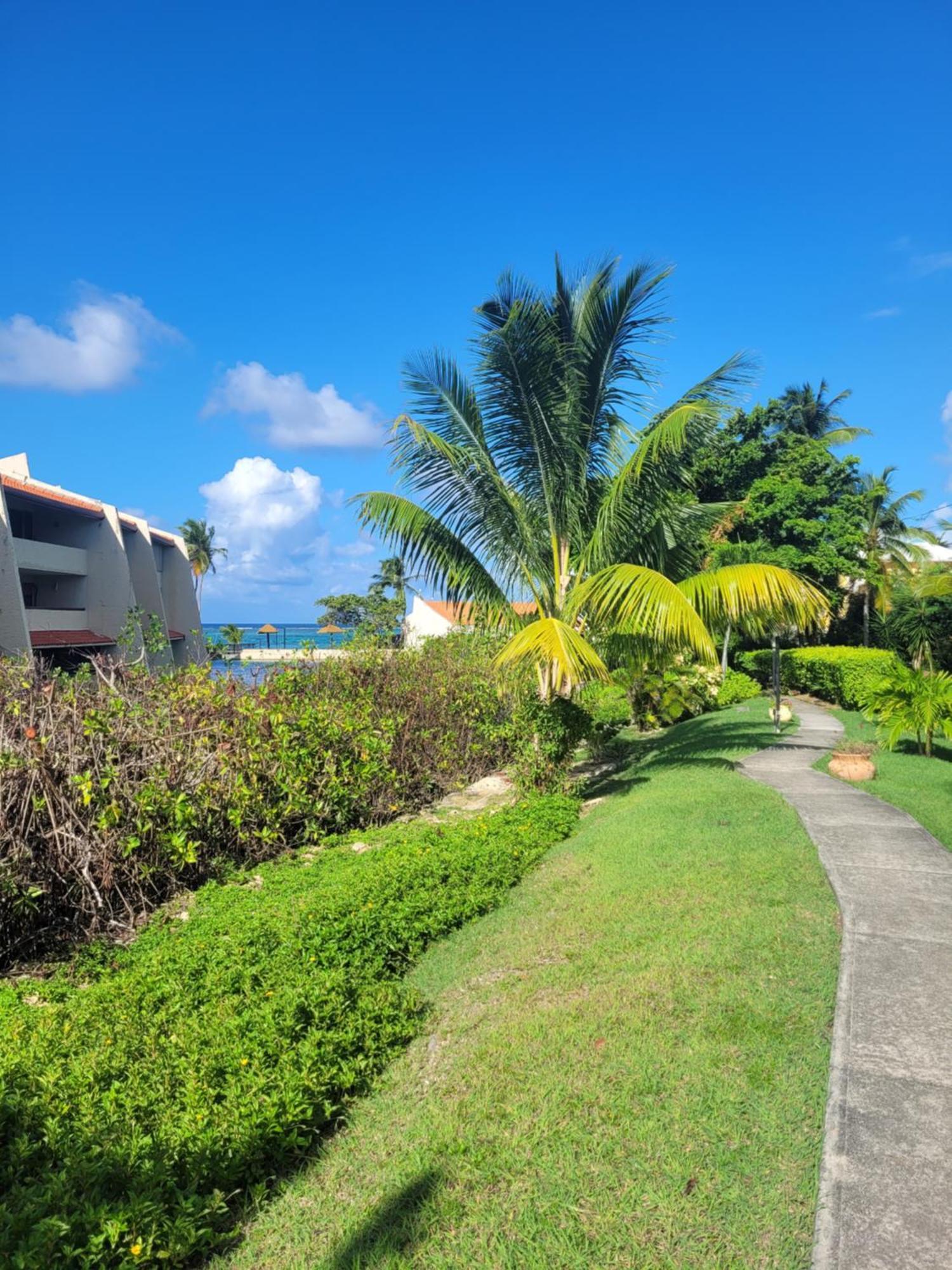 Apartment Sea Turtle With Loaded Amenities