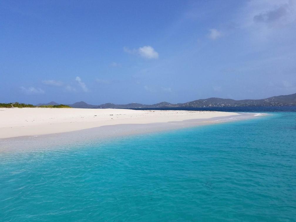 Apartment Sea Turtle With Loaded Amenities Christiansted