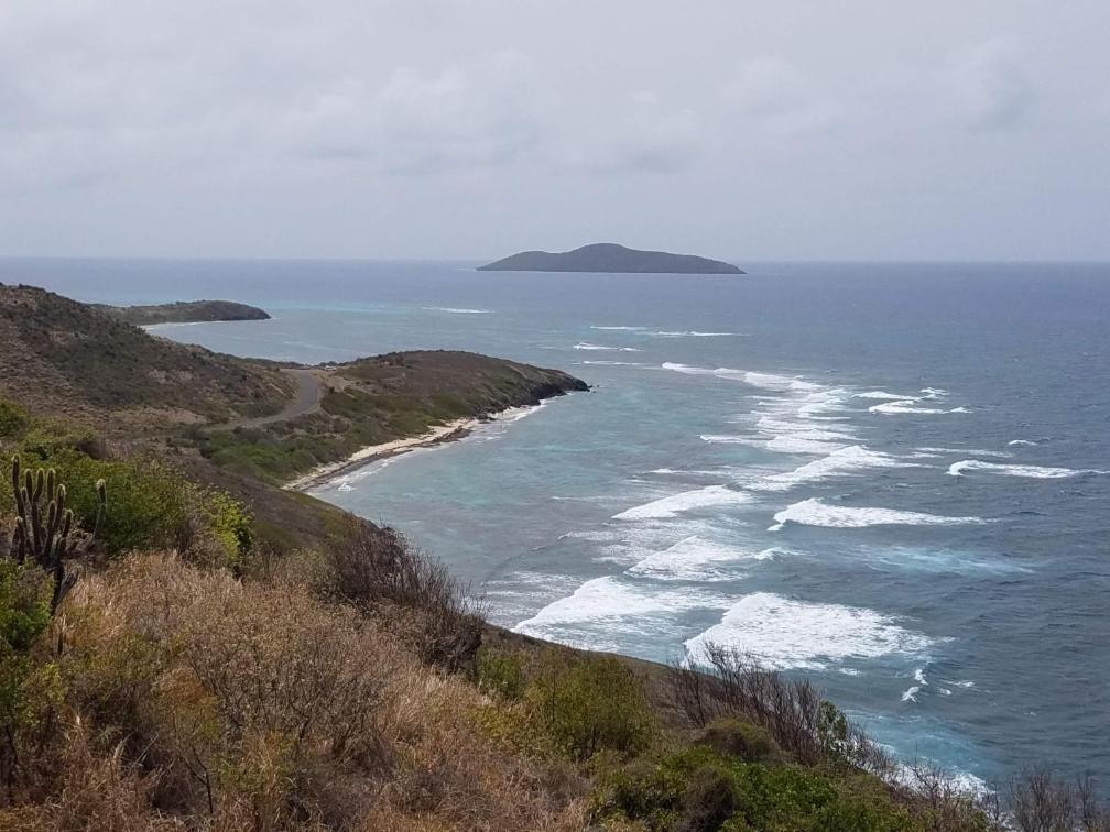 Sea Turtle With Loaded Amenities Christiansted
