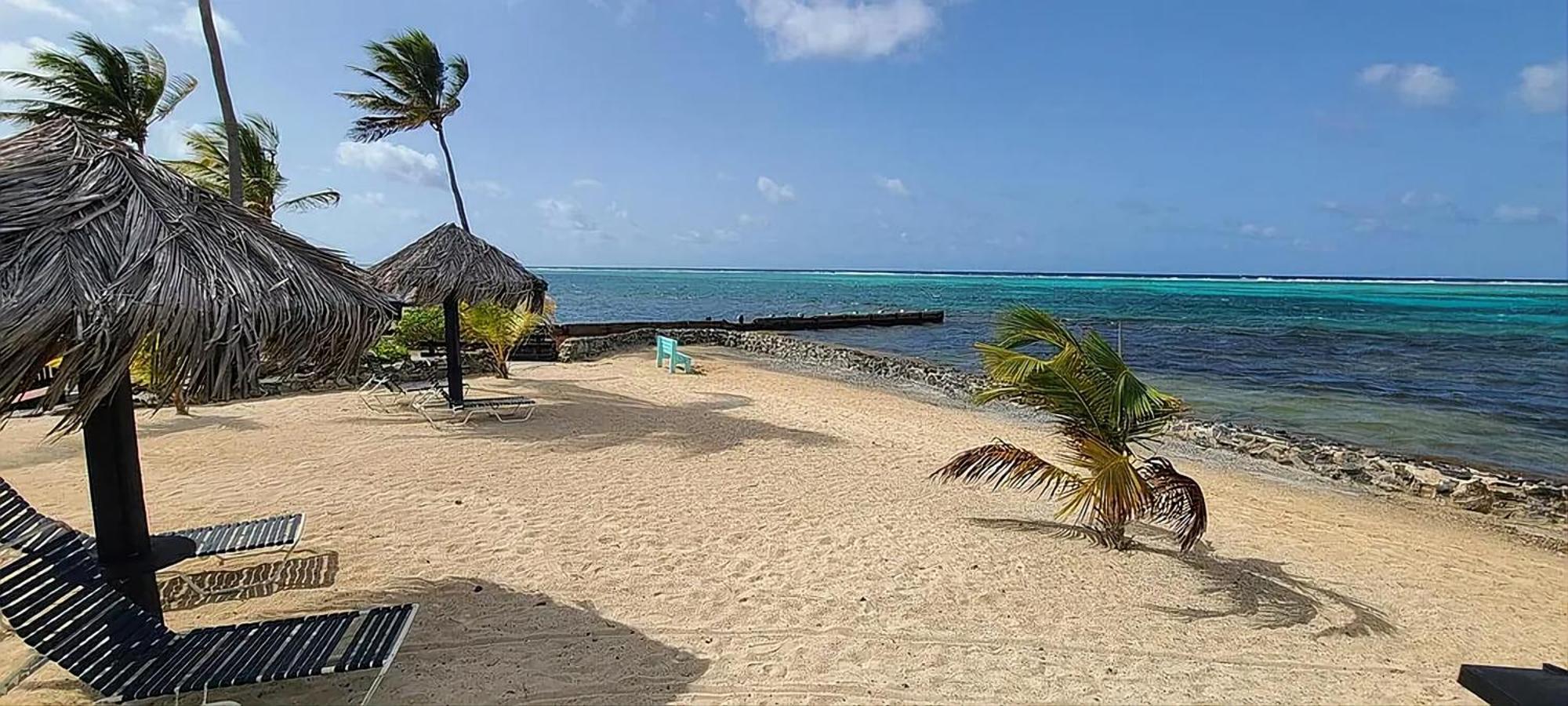 Sea Turtle With Loaded Amenities Apartment Christiansted