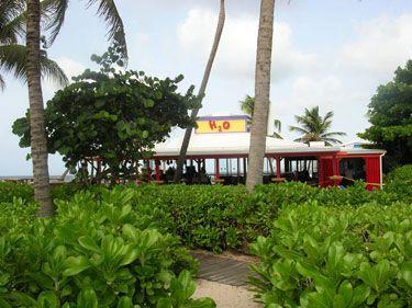 Hibiscus Christiansted