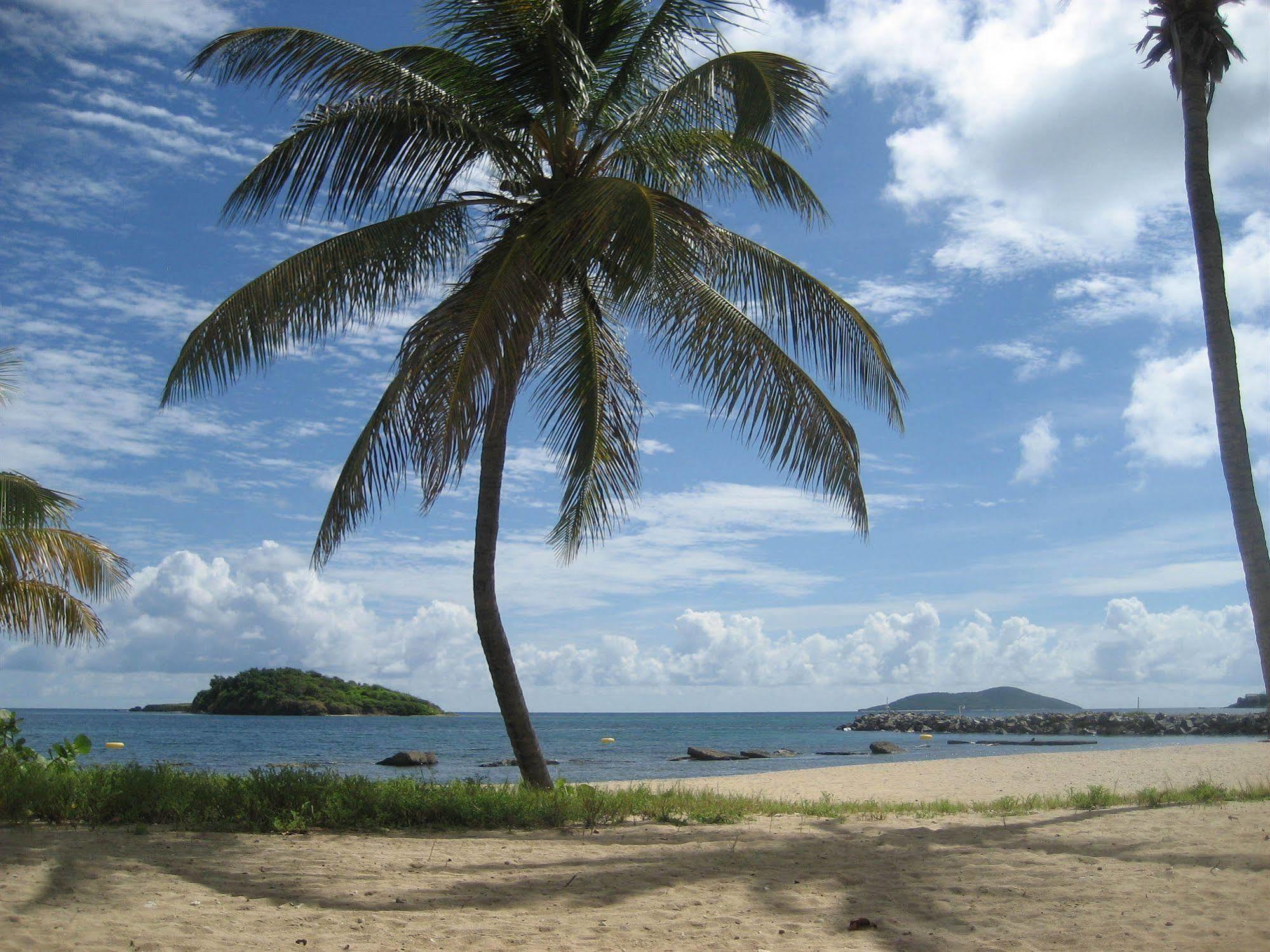 Tamarind Reef & Marina 3* Christiansted