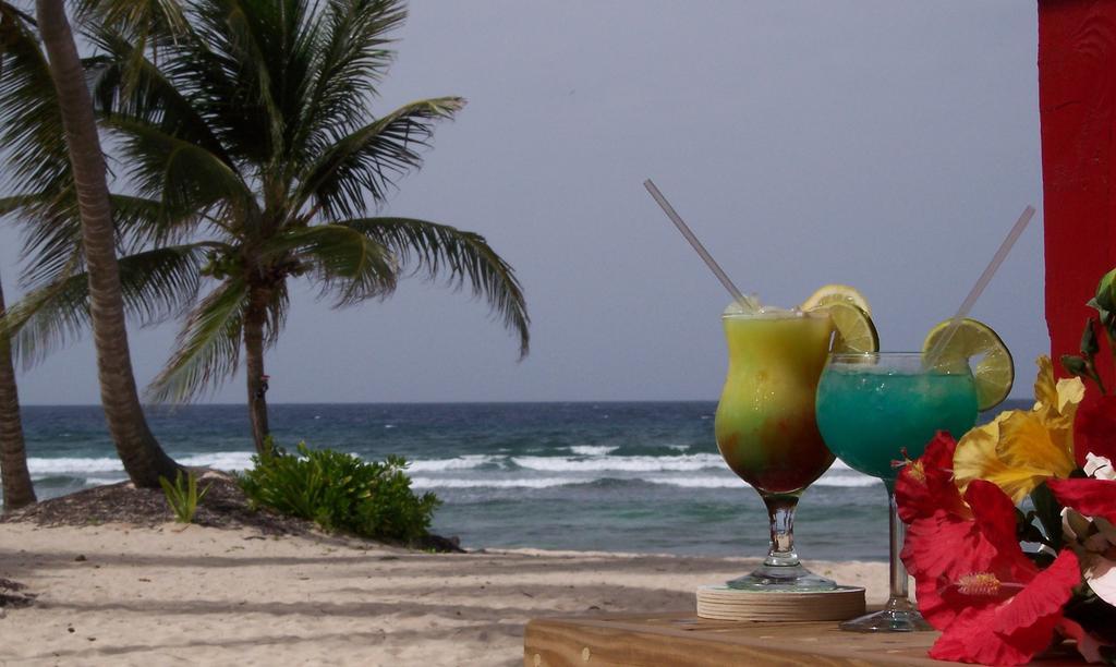 Hibiscus 3* Christiansted