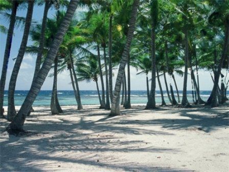 The Palms At Pelican Cove (adults Only) La Grande Princesse