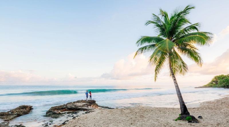 Resort Carambola St. Croix, Us Virgin Islands 4*