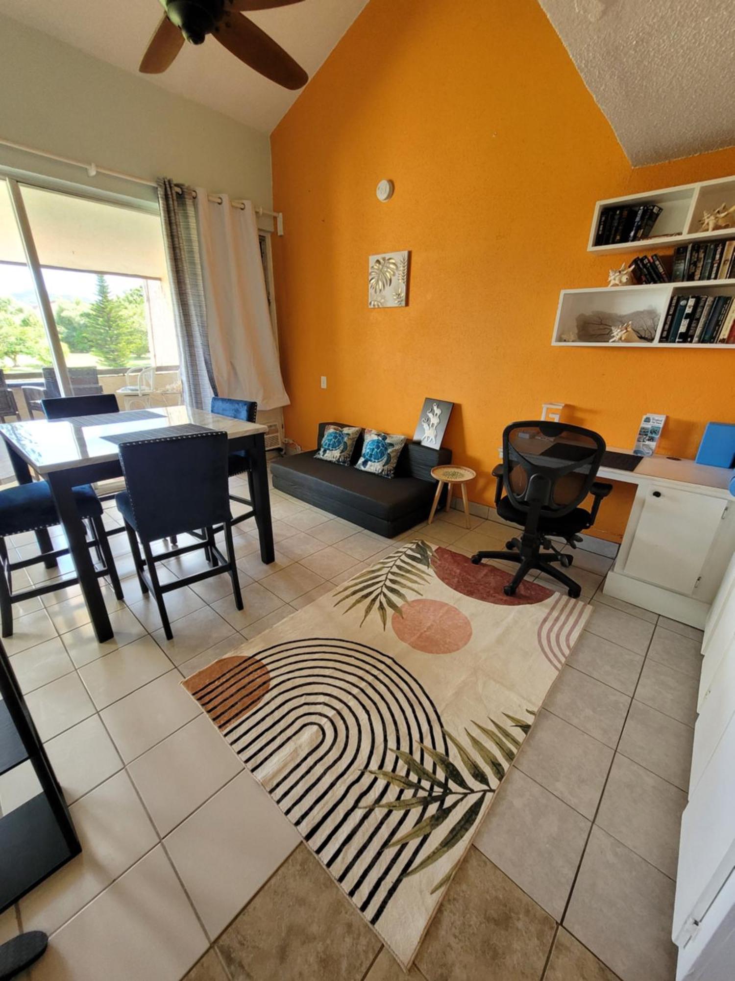 Apartment Sea Turtle With Loaded Amenities Christiansted